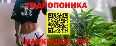 стафф Владивосток