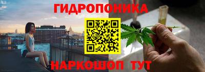 бошки Владимир