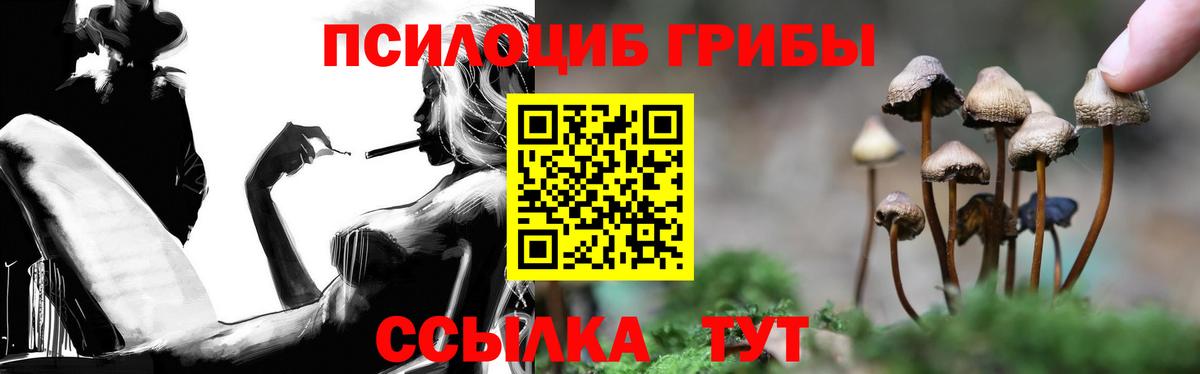 Галлюциногенные грибы прущие грибы Сергиев Посад