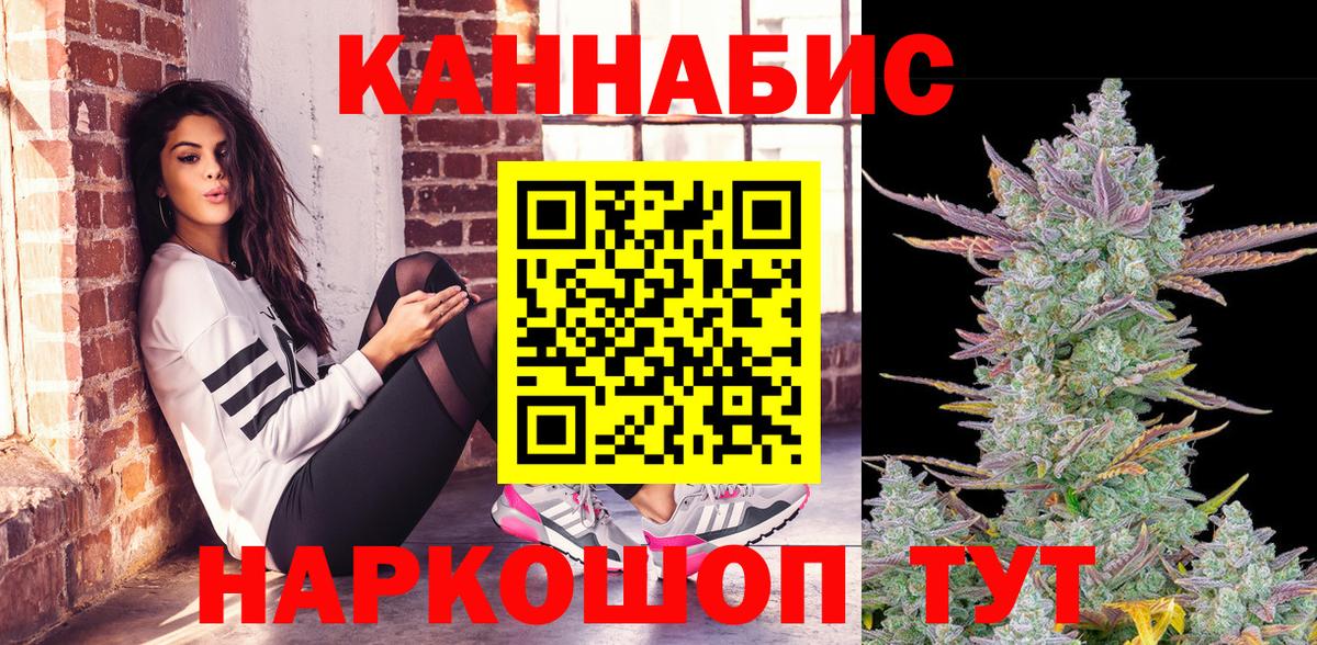 Бошки Шишки планчик Сергиев Посад